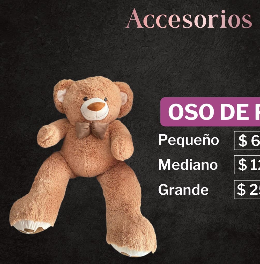 Oso de peluche